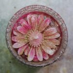 Candle Jar with Pink  Daisy Flower