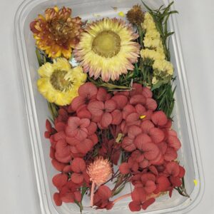 BloomCraft Premium Dried Flower Mix🌸