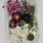 Crimson Blush Garden Collection✨