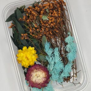 Sunset Meadow Mix🌝🌼