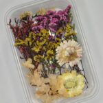 Sunset Garden Dried Bloom Box🌼