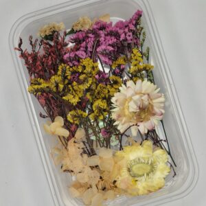Sunset Garden Dried Bloom Box🌼