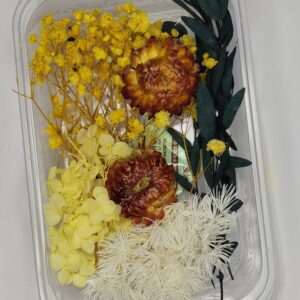 Golden Autumn Bloom Box🍂
