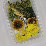 Golden Harvest Dried Floral Mix💫🌼