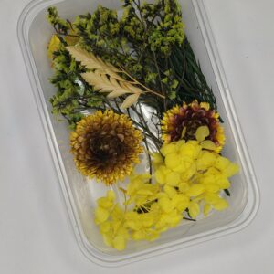 Golden Harvest Dried Floral Mix💫🌼