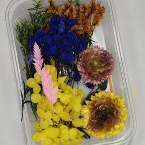 Sunset Symphony Garden 🌅🌼