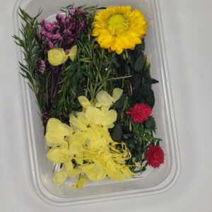 Golden Meadow Whisper 🌼🍃