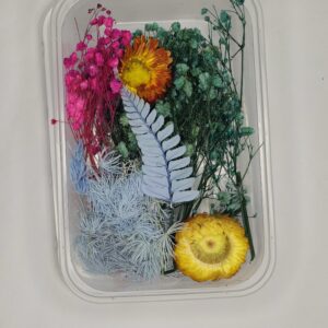 Aurora Bloom Garden 🌸✨