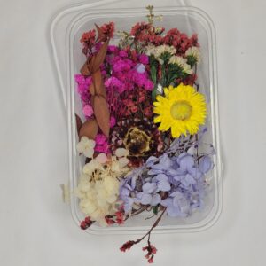 🌸 Rainbow Garden Dried Flower Mix 🌈