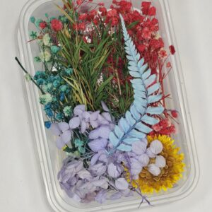 🌸 Pastel Garden Dried Flower Mix