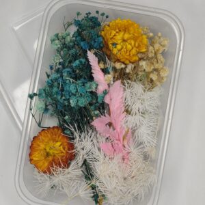 Ocean Bloom Dried Flower Mix 🌊🌷