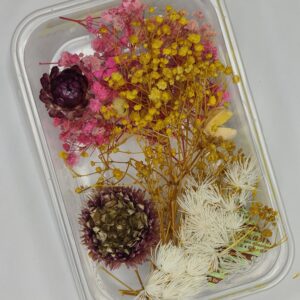 Sunset Bloom Dried Flower Mix 🌞🌸