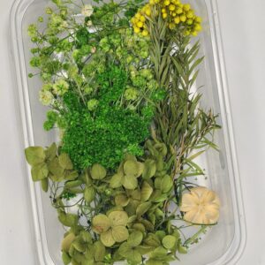 Emerald Garden Dried Flower Mix 🌿🍀