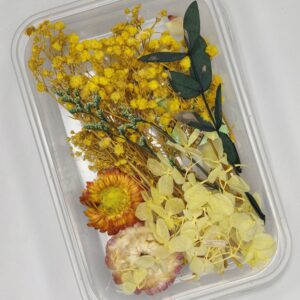 Golden Meadow Dried Flower Mix 🌼